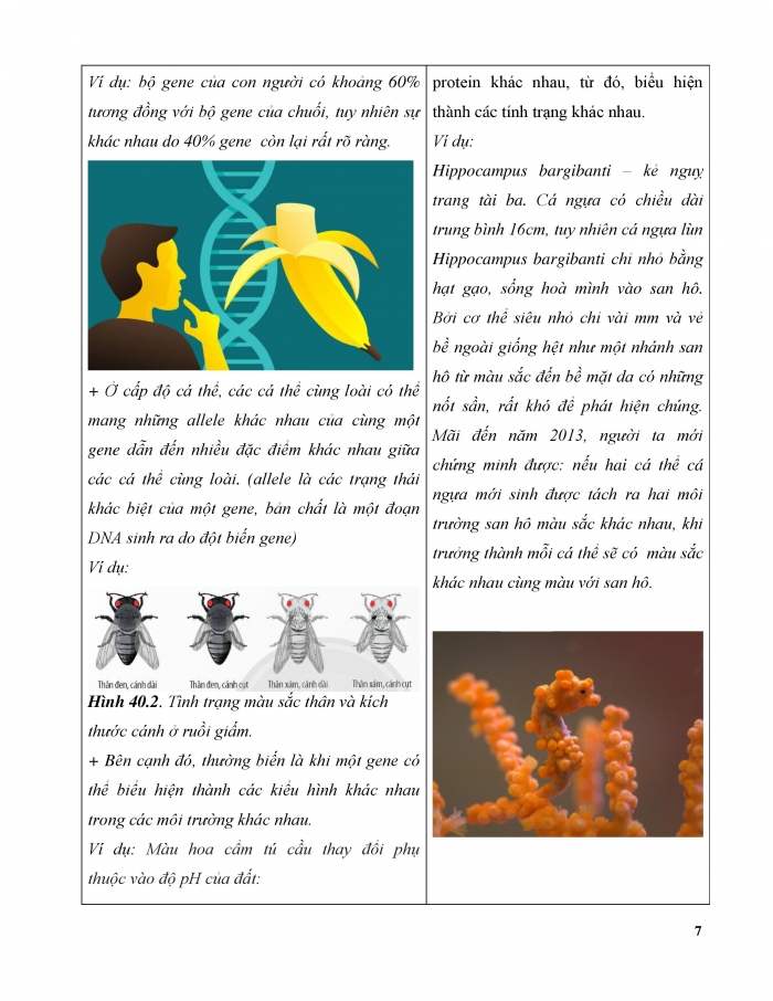Giáo án và PPT KHTN 9 chân trời Bài 40: Từ gene đến tính trạng