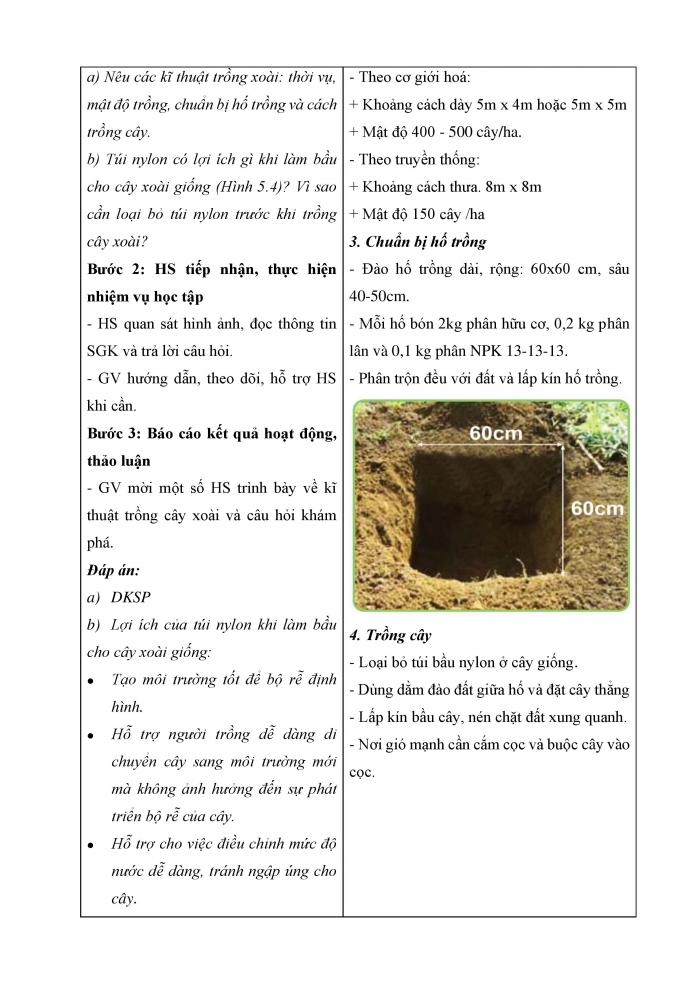 Giáo án và PPT công nghệ 9 trồng cây ăn quả Cánh diều bài 5: Kĩ thuật trồng và chăm sóc cây xoài