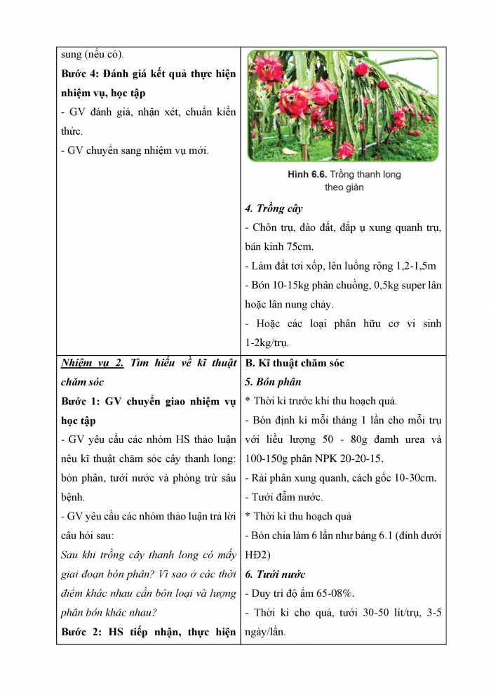 Giáo án và PPT công nghệ 9 trồng cây ăn quả Cánh diều bài 6: Kĩ thuật trồng và chăm sóc cây thanh long