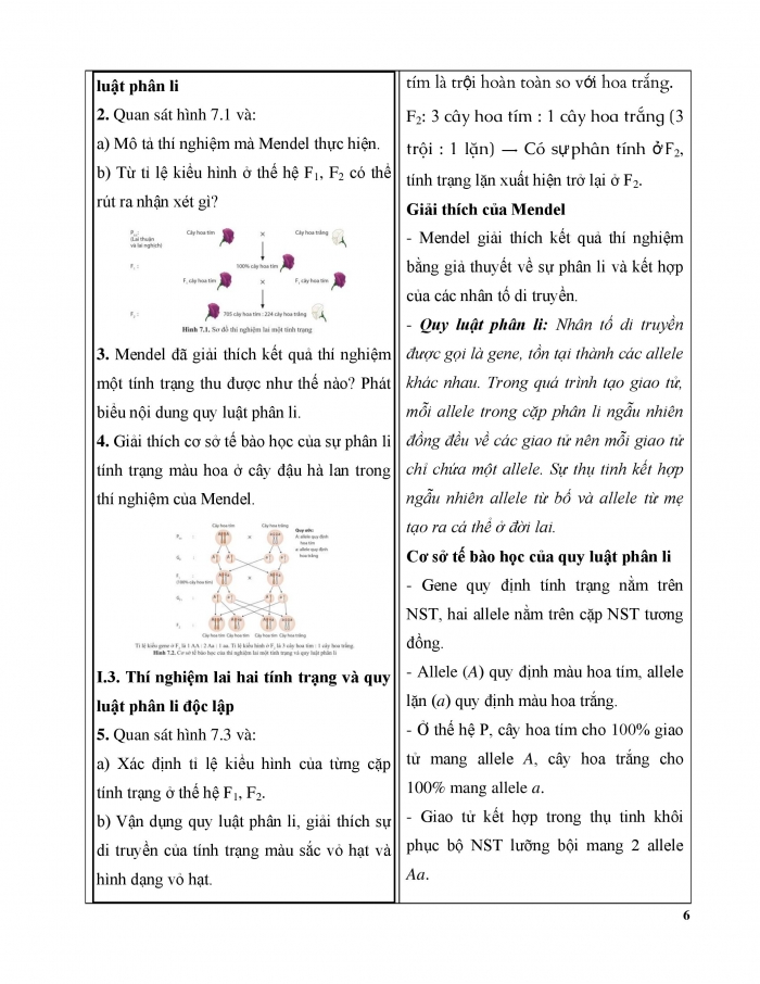 Giáo án và PPT Sinh học 12 cánh diều bài 7: Di truyền học Mendel và mở rộng học thuyết Mendel