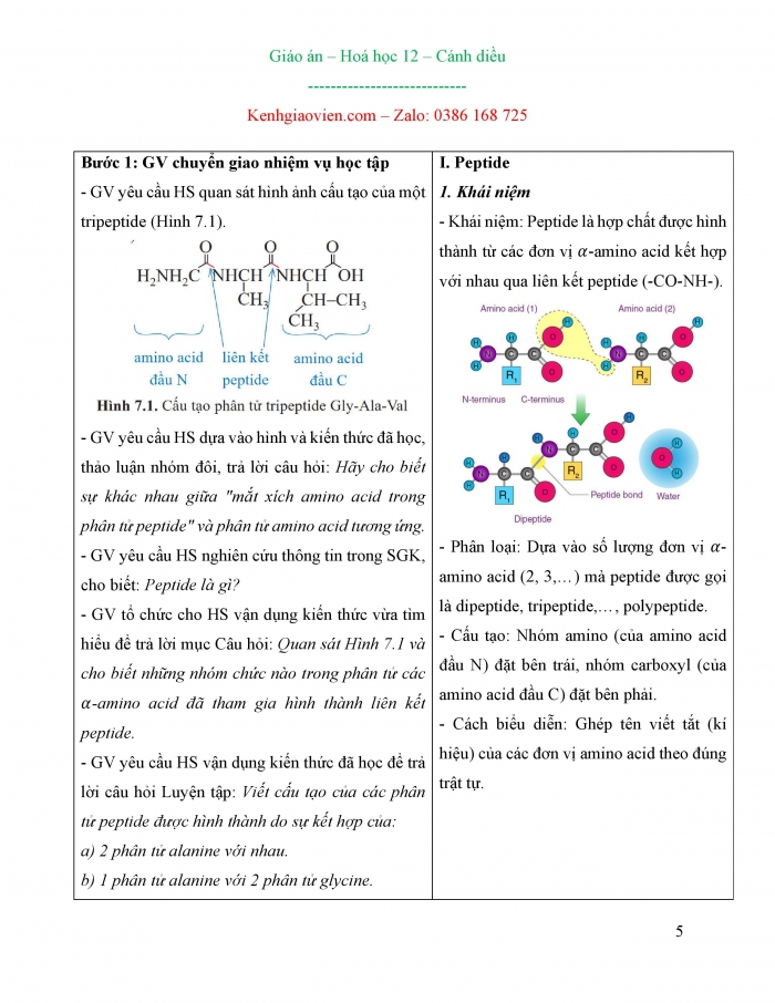 Giáo án và PPT Hóa học 12 cánh diều bài 7: Peptide, protein và enzyme