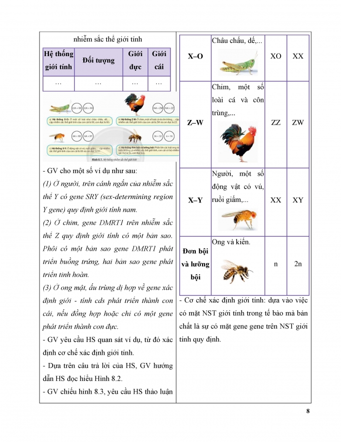 Giáo án và PPT Sinh học 12 chân trời bài 8: Các quy luật di truyền của Morgan và di truyền giới tính