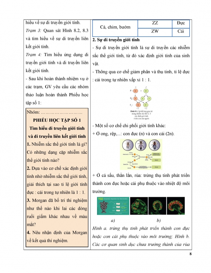 Giáo án và PPT Sinh học 12 cánh diều bài 8: Di truyền liên kết giới tính, liên kết gene và hoán vị gene
