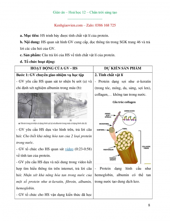 Giáo án và PPT Hoá học 12 chân trời bài 8: Protein và enzyme