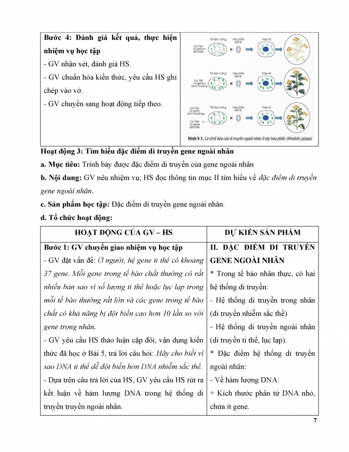 Giáo án và PPT Sinh học 12 chân trời bài 9: Di truyền gene ngoài nhân