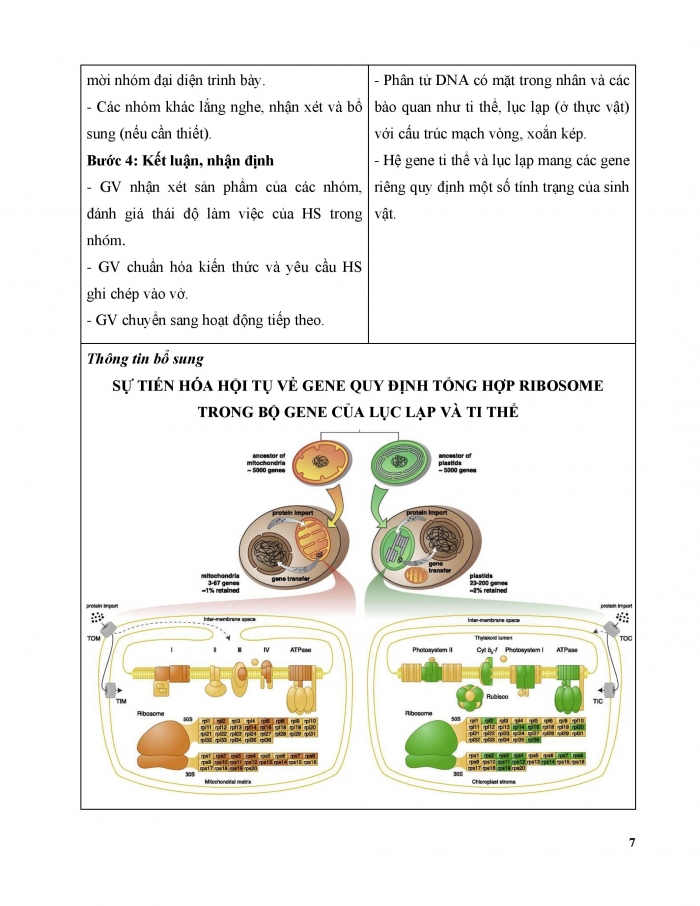 Giáo án và PPT Sinh học 12 cánh diều bài 9: Di truyền gene ngoài nhân