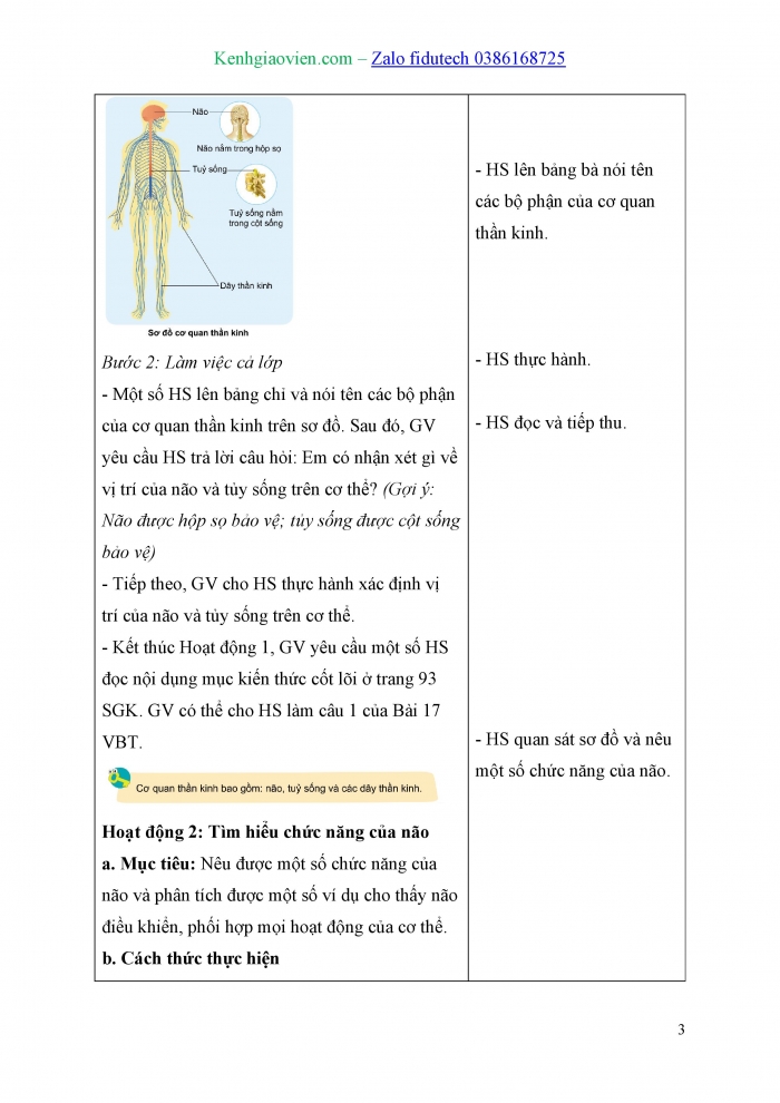 Giáo án và PPT Tự nhiên và Xã hội 3 cánh diều Bài 17: Cơ quan thần kinh