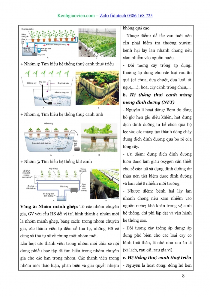 Giáo án và PPT Công nghệ trồng trọt 10 cánh diều Bài 21: Công nghệ trồng cây không dùng đất