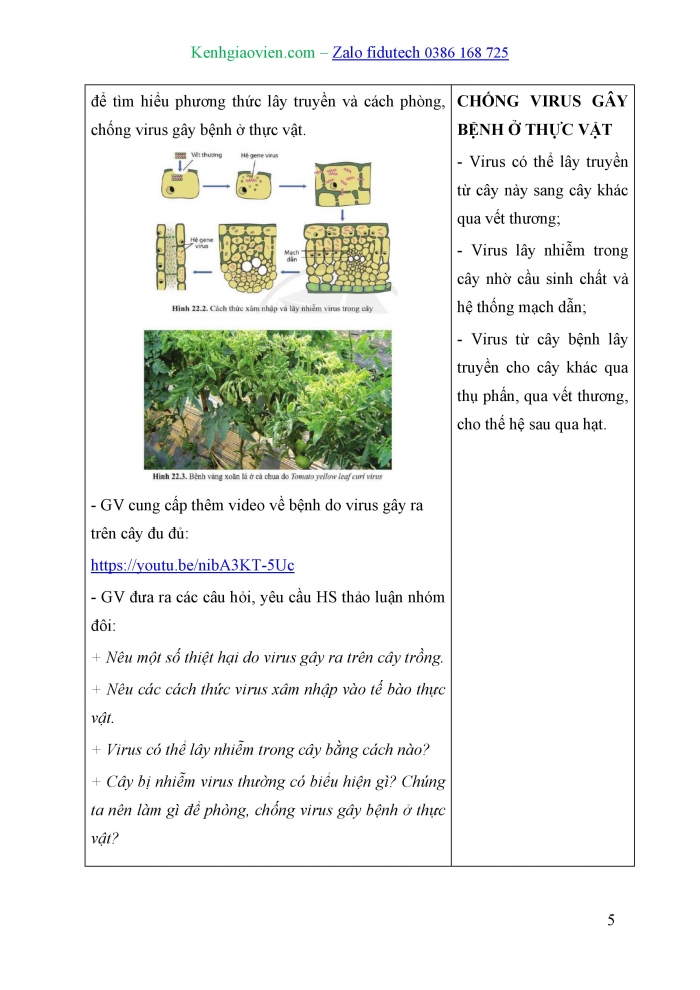 Giáo án và PPT Sinh học 10 cánh diều Bài 22: Phương thức lây truyền, cách phòng chống và ứng dụng của virus