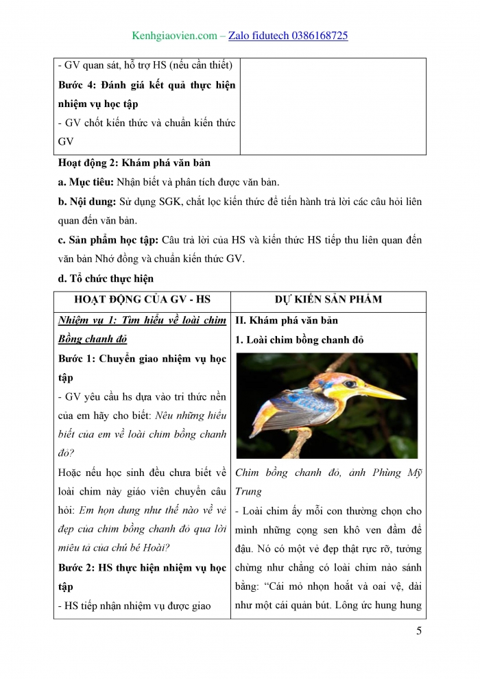 Giáo án và PPT Ngữ văn 8 chân trời Bài 7: Bồng chanh đỏ (Đỗ Chu)