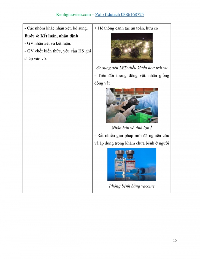 Giáo án và PPT Sinh học 11 cánh diều Bài 24: Một số ngành nghề liên quan đến sinh học cơ thể