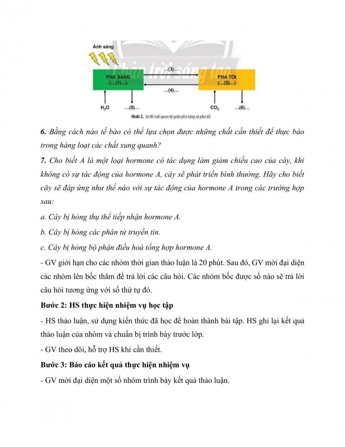 Giáo án và PPT Sinh học 10 chân trời Ôn tập Chương 3