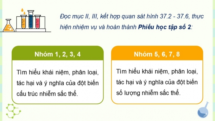 Giáo án điện tử KHTN 9 cánh diều - Phân môn Sinh học Bài 37: Đột biến nhiễm sắc thể