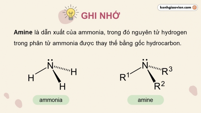 Giáo án điện tử Hoá học 12 kết nối Bài 8: Amine