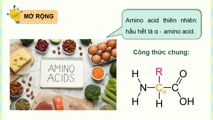 Giáo án điện tử Hoá học 12 kết nối Bài 9: Amino acid và peptide