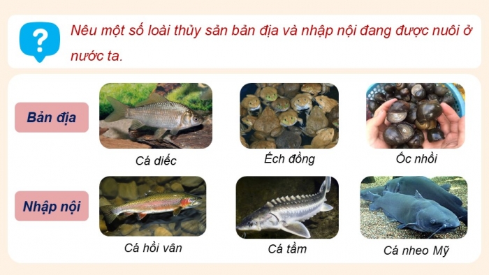 Giáo án điện tử Công nghệ 12 Lâm nghiệp - Thủy sản Kết nối Bài 9: Các nhóm thuỷ sản và một số phương thức nuôi phố biến