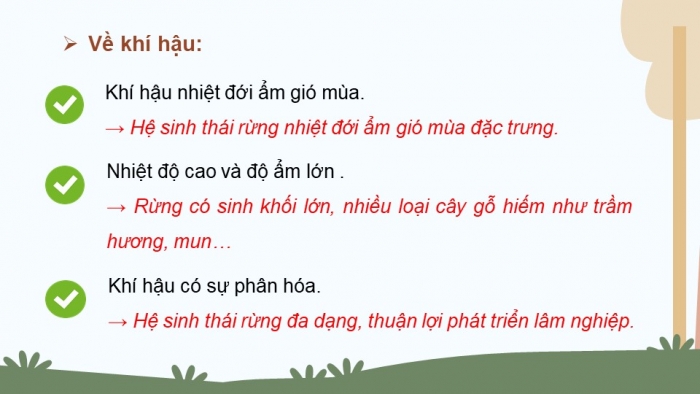 Giáo án điện tử Địa lí 12 chân trời Bài 13: Vấn đề phát triển lâm nghiệp và thuỷ sản