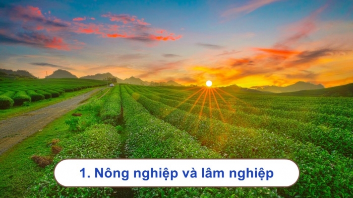 Giáo án điện tử Địa lí 9 cánh diều Bài 9: Vùng Trung du và miền núi Bắc Bộ (P2)