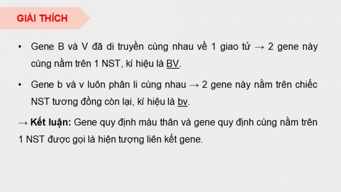 Giáo án điện tử Sinh học 12 kết nối Bài 11: Liên kết gene và hoán vị gene