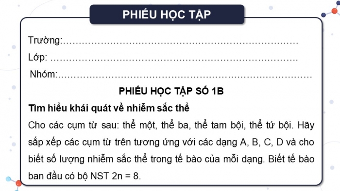 Giáo án điện tử Sinh học 12 kết nối Bài 12: Đột biến nhiễm sắc thể