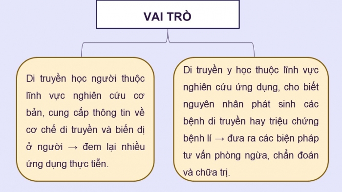 Giáo án điện tử Sinh học 12 kết nối Bài 13: Di truyền học người và di truyền y học