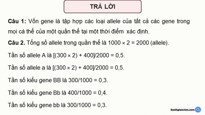 Giáo án điện tử Sinh học 12 kết nối Bài 18: Di truyền quần thể