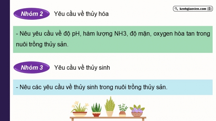 Giáo án điện tử Công nghệ 12 Lâm nghiệp - Thủy sản Kết nối Bài 10: Giới thiệu về môi trường nuôi thuỷ sản