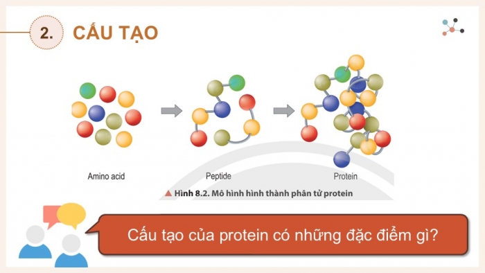 Giáo án điện tử Hoá học 12 chân trời Bài 8: Protein và enzyme