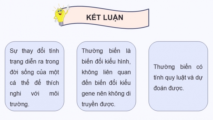 Giáo án điện tử Sinh học 12 kết nối Bài 16: Tương tác giữa kiểu gene với môi trường và thành tựu chọn giống