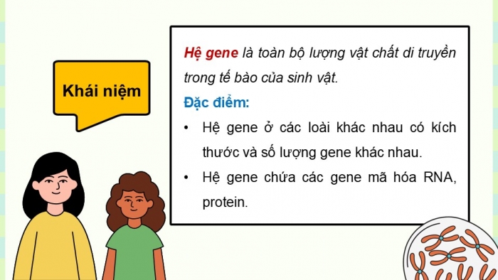 Giáo án điện tử Sinh học 12 cánh diều Bài 11: Hệ gene, công nghệ gene và ứng dụng