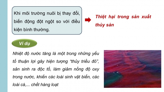 Giáo án điện tử Công nghệ 12 Lâm nghiệp - Thủy sản Kết nối Bài 11: Quản lí môi trường nuôi thuỷ sản