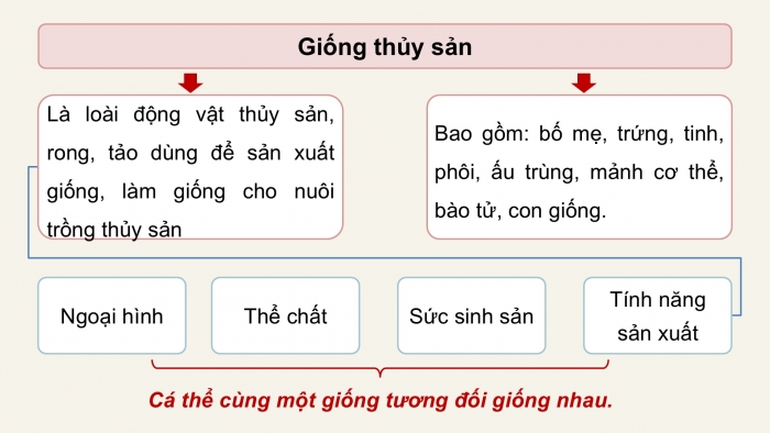 Giáo án điện tử Công nghệ 12 Lâm nghiệp - Thủy sản Kết nối Bài 13: Vai trò của giống thủy sản