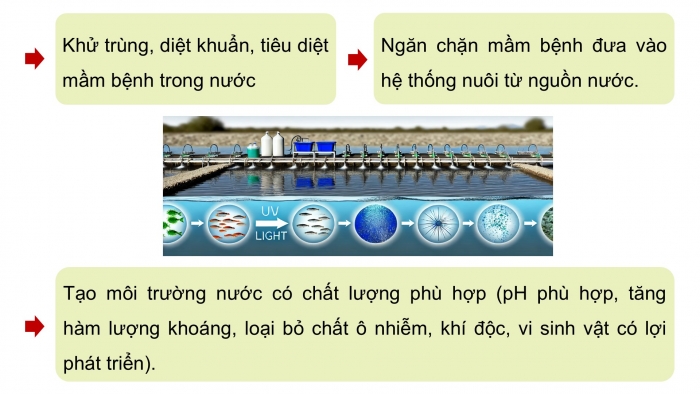 Giáo án điện tử Công nghệ 12 Lâm nghiệp Thủy sản Cánh diều Bài 13: Xử li môi trường nuôi thuỷ sản