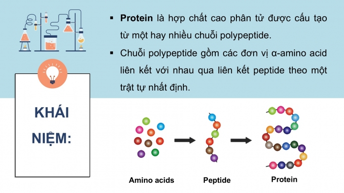 Giáo án điện tử Hoá học 12 kết nối Bài 10: Protein và enzyme