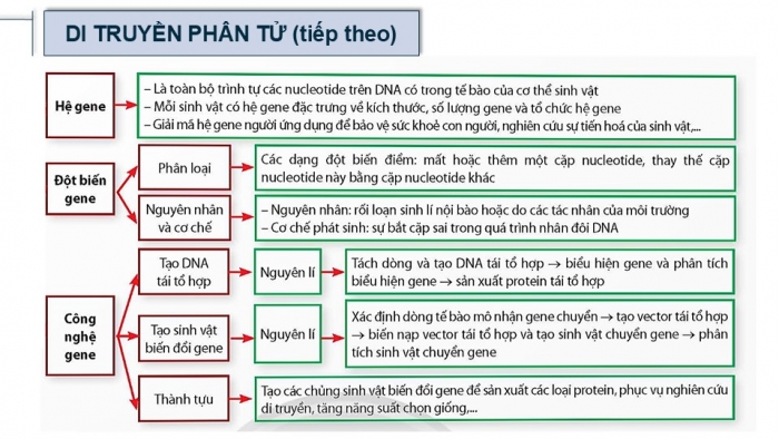 Giáo án điện tử Sinh học 12 chân trời Bài Ôn tập Chương 1