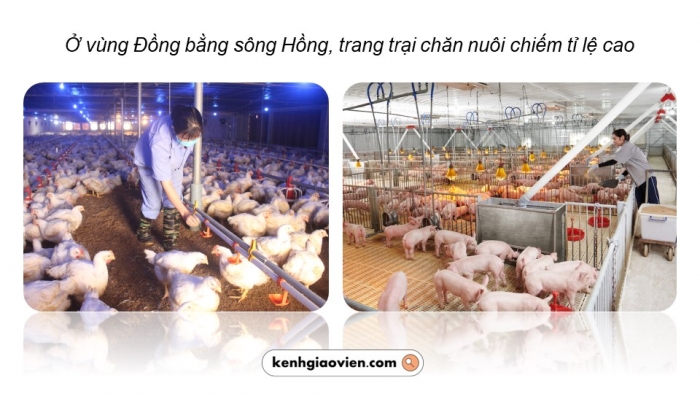 Giáo án điện tử chuyên đề Địa lí 12 kết nối CĐ 2: Phát triển vùng (P2)