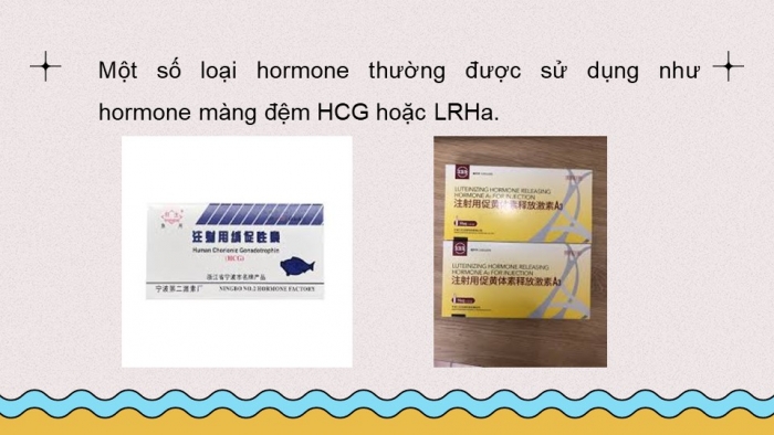 Giáo án điện tử chuyên đề Công nghệ 12 Lâm nghiệp Thuỷ sản Kết nối Bài 7: Ứng dụng công nghệ sinh học trong sản xuất giống thuỷ sản