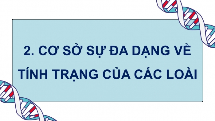 Giáo án điện tử KHTN 9 chân trời - Phân môn Sinh học Bài 40: Từ gene đến tính trạng