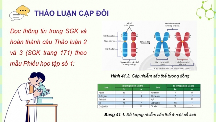 Giáo án điện tử KHTN 9 chân trời - Phân môn Sinh học Bài 41: Cấu trúc nhiễm sắc thể và đột biến nhiễm sắc thể