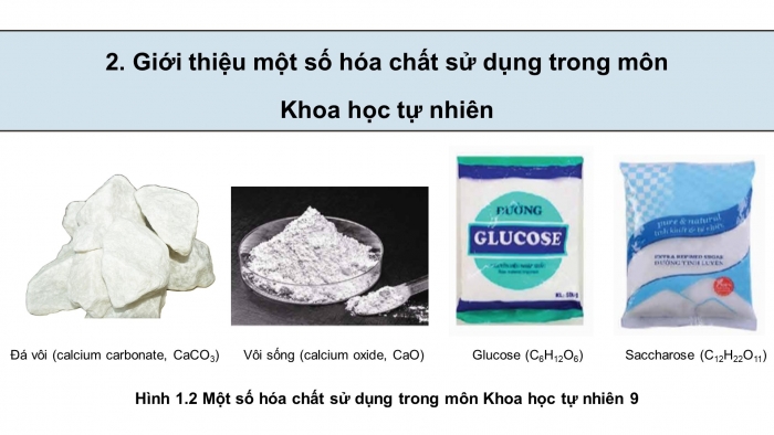 Giáo án điện tử KHTN 9 chân trời - Phân môn Sinh học Bài 1: Giới thiệu một số dụng cụ và hóa chất. Thuyết trình một vấn đề khoa học