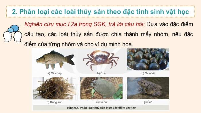 Giáo án điện tử Công nghệ 12 Lâm nghiệp - Thủy sản Kết nối Bài 9: Các nhóm thuỷ sản và một số phương thức nuôi phố biến