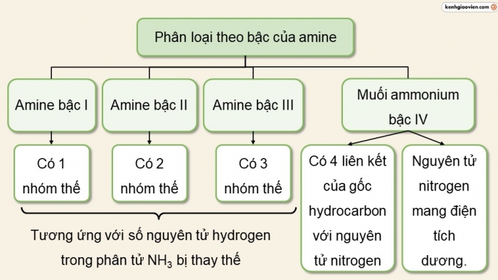 Giáo án điện tử Hoá học 12 chân trời Bài 6: Amine