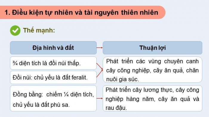 Giáo án điện tử Địa lí 12 chân trời Bài 12: Vấn đề phát triển nông nghiệp