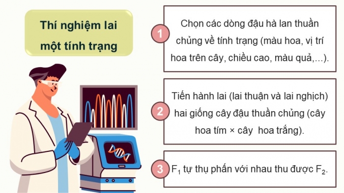 Giáo án điện tử Sinh học 12 cánh diều Bài 7: Di truyền học Mendel và mở rộng học thuyết Mendel