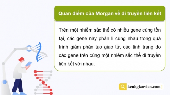 Giáo án điện tử Sinh học 12 cánh diều Bài 8: Di truyền liên kết giới tính, liên kết gene và hoán vị gene (P2)