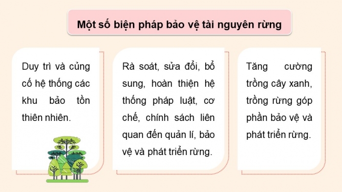 Giáo án điện tử Công nghệ 12 Lâm nghiệp Thủy sản Cánh diều Bài 8: Bảo vệ và khai thác tài nguyên rừng