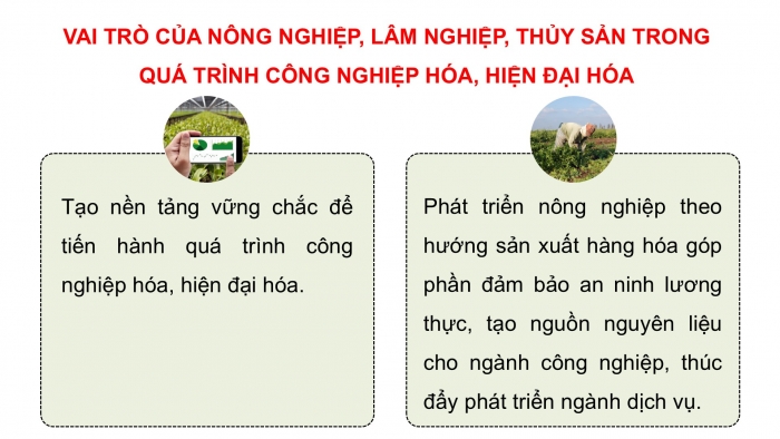 Giáo án điện tử Địa lí 12 chân trời Bài 15: Thực hành Tìm hiểu vai trò, tình hình phát triển và chuyển dịch cơ cấu ngành nông nghiệp, lâm nghiệp, thuỷ sản