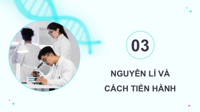 Giáo án điện tử Sinh học 12 kết nối Bài 14: Thực hành Quan sát một số dạng đột biến nhiễm sắc thể