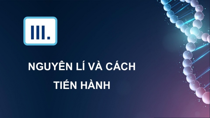 Giáo án điện tử Sinh học 12 kết nối Bài 17: Thực hành Thí nghiệm về thường biến ở cây trồng