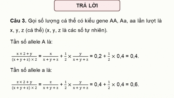 Giáo án điện tử Sinh học 12 kết nối Bài 18: Di truyền quần thể